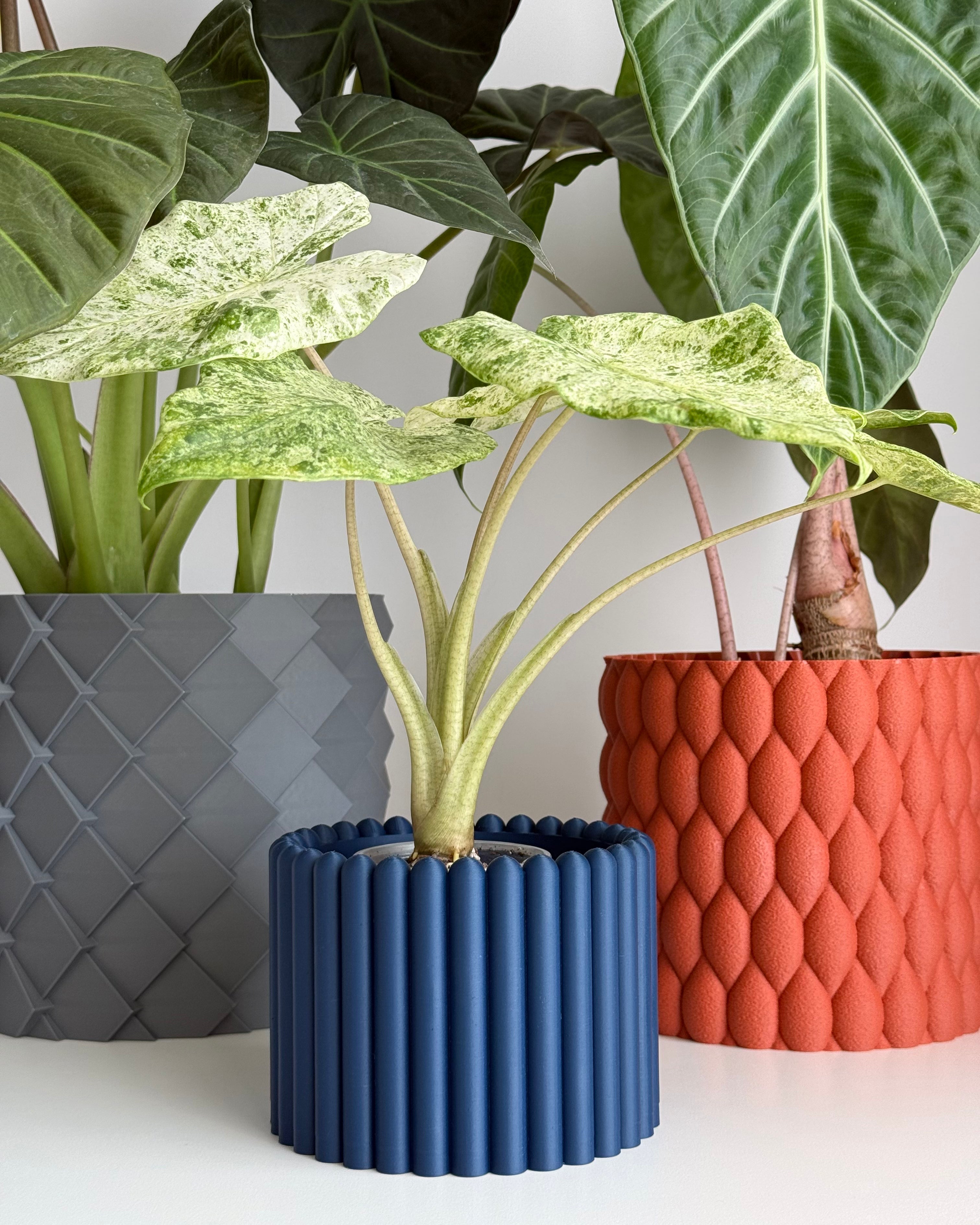Сachepot (planter)